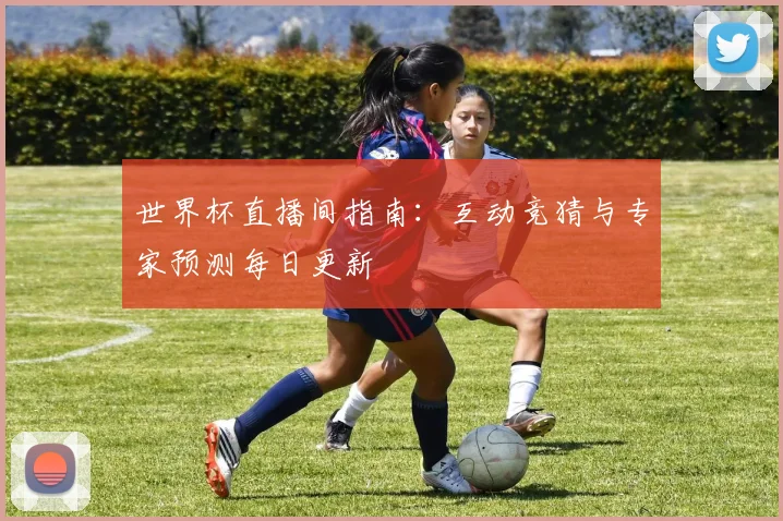 世界杯直播间指南：互动竞猜与专家预测每日更新