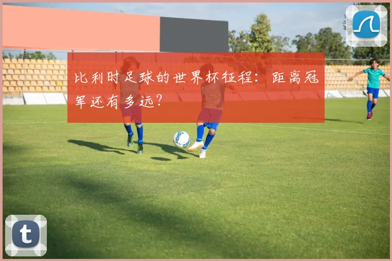 比利时足球的世界杯征程：距离冠军还有多远？
