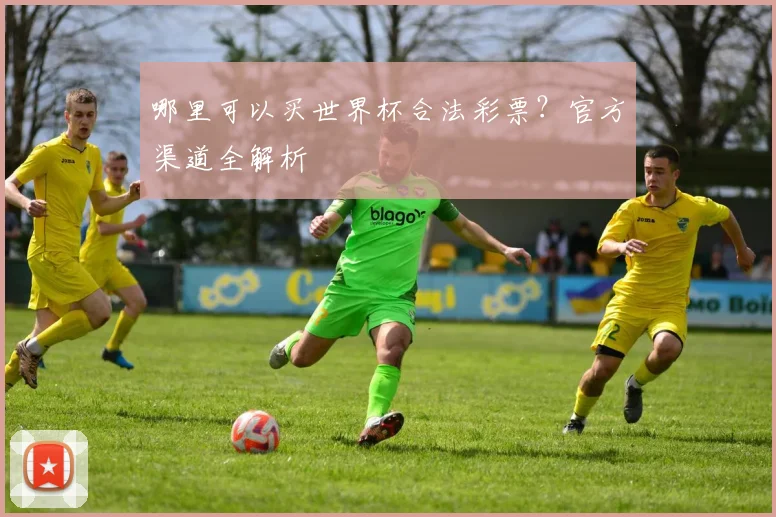 哪里可以买世界杯合法彩票？官方渠道全解析