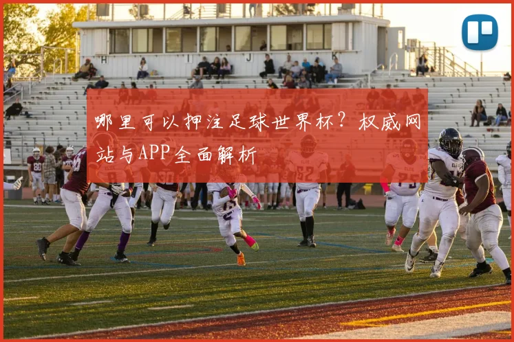 哪里可以押注足球世界杯？权威网站与APP全面解析