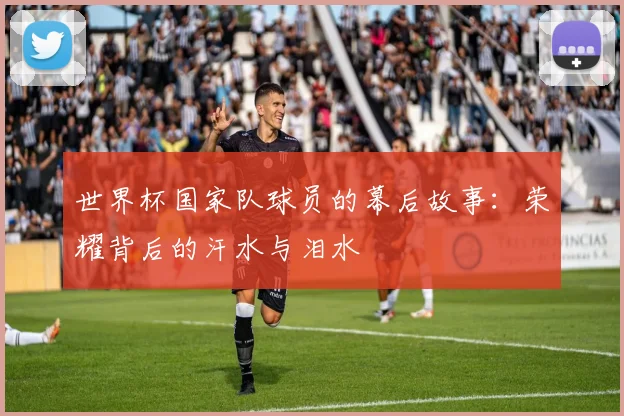 世界杯国家队球员的幕后故事:荣耀背后的汗水与泪水