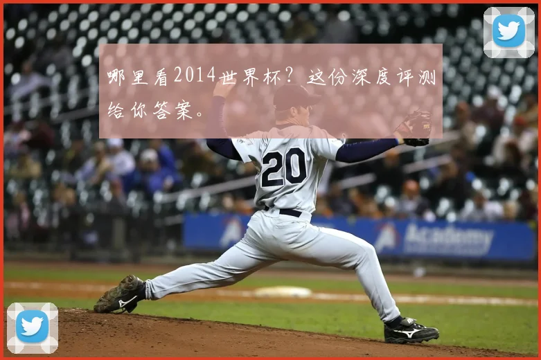 哪里看2014世界杯？这份深度评测给你答案。